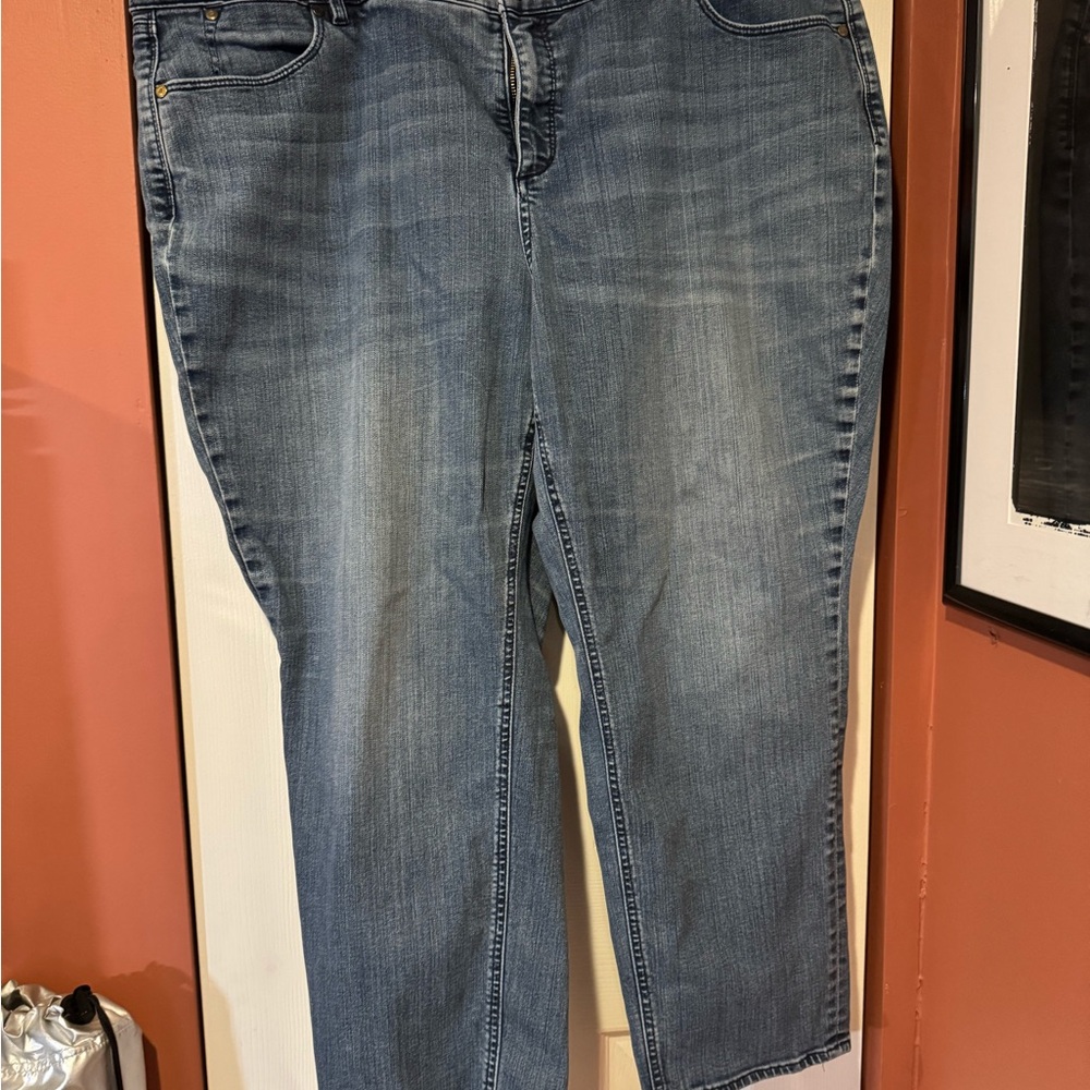 Talbots Women's Flawless Five-Pocket Straight Leg Jeans, Size 22WP